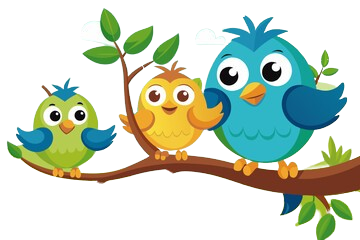 Birds