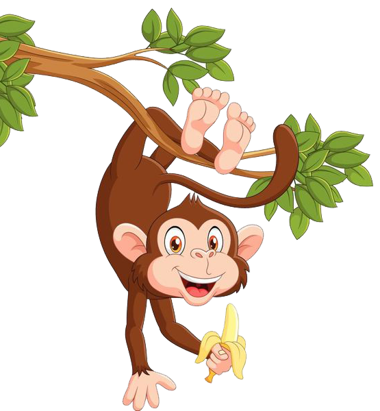 Monkey